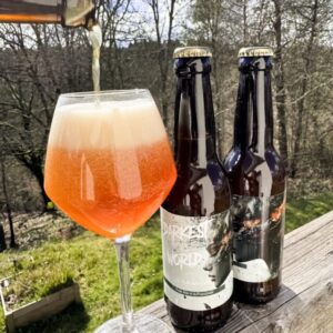 DARKEST WORLD 33CL BIERE ROUSSE - MICROBRASSERIE L'ASSEDAT