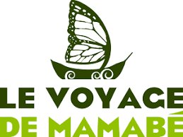 AMOK DU CAMBODGE MIJOTE DE LEGUMES AU LAIT DE COCO BIO 330G LE VOYAGE DE MAMABE – Image 3