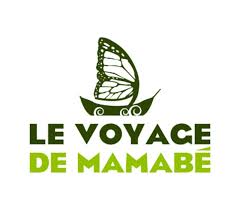 CREME DE CITRON CONFIT AU GINGEMBRE BIO 105g - LE VOYAGE DE MAMABE – Image 3