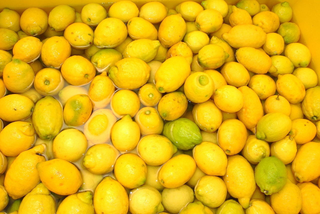 LIQUEUR DE CITRON LIMONCELLO 25% - TESSENDIER & FILS – Image 2