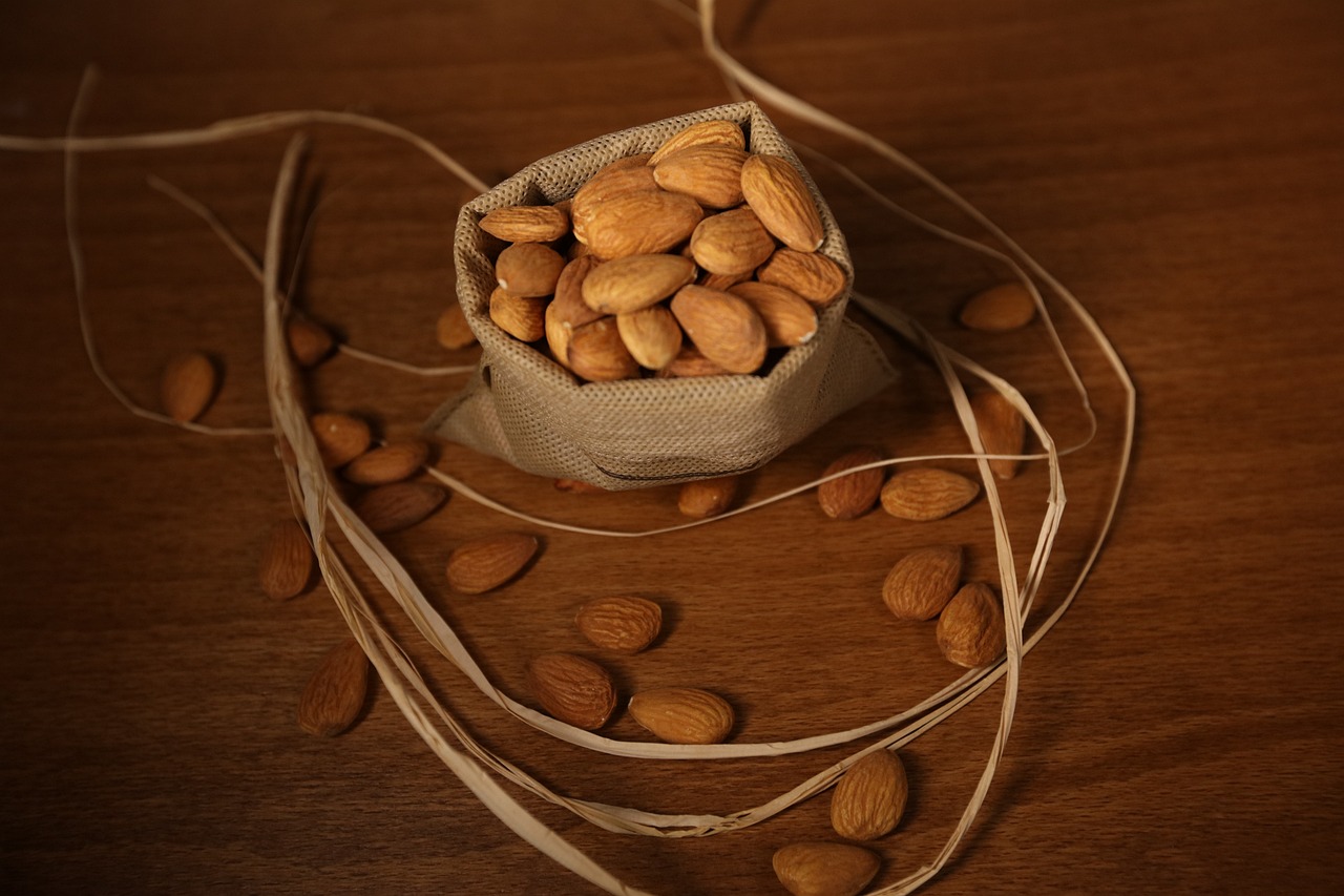 HUILE VEGETALE DE NOYAU D'ABRICOT BIO 50ml - DISTILLERIE SAINT HILAIRE – Image 3