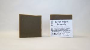 SAVON/SHAMPOING BIOLOGIQUE NEEM LAVANDE NATURE & PROGRES 100g - SAVONNERIE EN DO