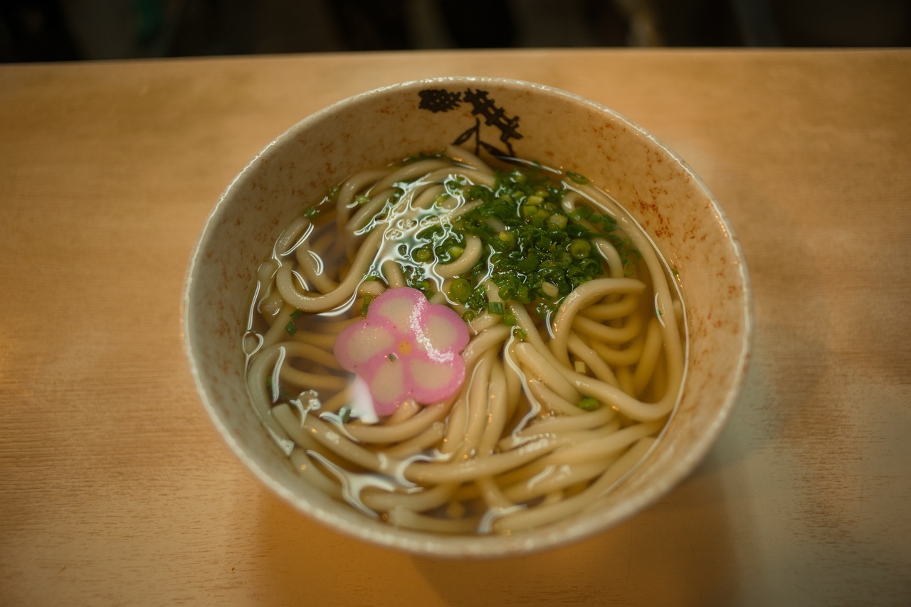 NOUILLES UDON BIO 250g - LIMA – Image 2