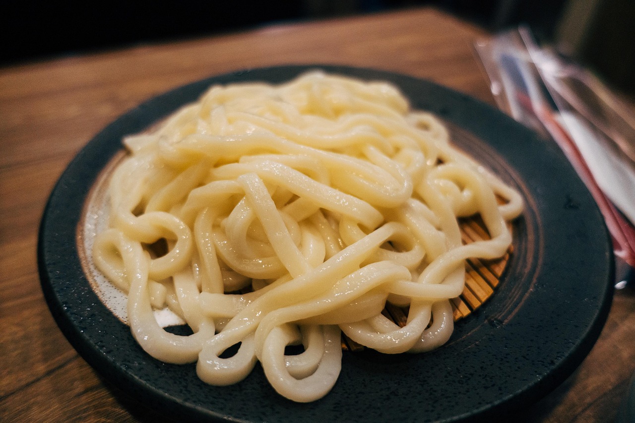 NOUILLES UDON BIO 250g - LIMA – Image 4