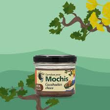 GARNITURE POUR MOCHIS CACAHUETES CHOCOLAT BIO 100g - AUTOUR DU RIZ