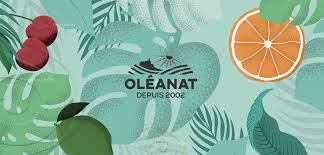 BAUME AMANDE DOUCE BIO SOIN DOUCEUR VISAGE & CORPS 50ml - OLEANAT – Image 2