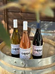 PETIT COQUIN DE SAURS BIO ROUGE/BLANC/ROSE 75cl IGP CÔTES DU TARN - CHÂTEAU DE S