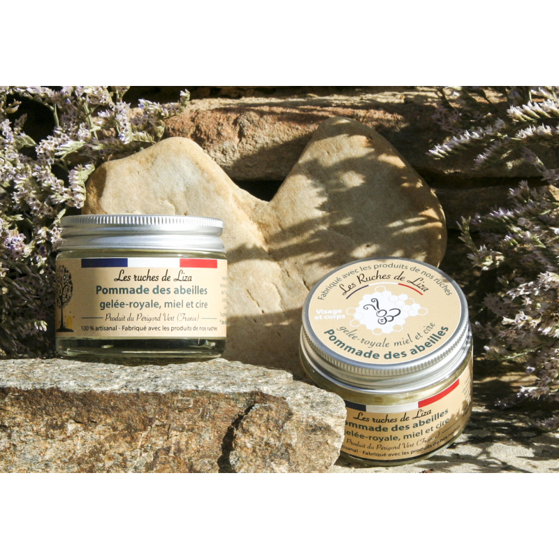 POMMADE DES ABEILLES BIO 50ml - LES RUCHES DE LIZA