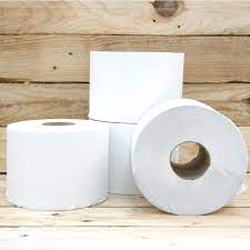 PAPIER HYGIENIQUE PAPECO ROULEAU BLANC RECYCLE VRAC 600 FEUILLES