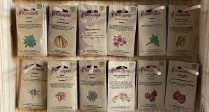 SACHET DE SEMENCES BIOLOGIQUES KOKOPELLI