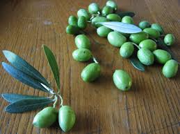 OLIVES ERTES FARCIES AUX AMANDES BIOLOGIQUES (GRECE) - LE TEMPS DES OLIVIERS – Image 3