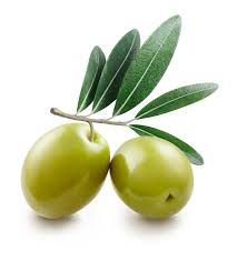 OLIVES ERTES FARCIES AUX AMANDES BIOLOGIQUES (GRECE) - LE TEMPS DES OLIVIERS – Image 4