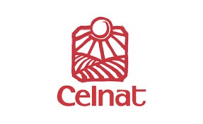 SEITAN 100% VEGETAL AB BOCAL 250G - CELNAT – Image 3