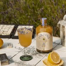 APERITIF SANS ALCOOL FLEUR DE SUREAU & BERGAMOTE BIO 70cl - JARDINS FLEURIS – Image 3