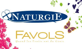 CONFITURE BIO GOYAVE 310g - SAVEURS & FRUITS – Image 4