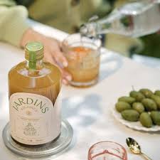 APERITIF SANS ALCOOL BIO GINGEMBRE & ABRICOT 70cl - JARDINS SOLAIRES – Image 2