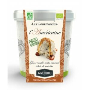 CREME GLACEE AMERICAINE BIO 500ml - AQUIBIO