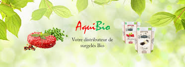 SORBET PÊCHE DES VIGNES BIO 500ml - AQUIBIO – Image 2