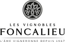 NU.VO.TE ROSE BIO & VEGAN 2025 75cl - DOMAINE FONCALIEU – Image 4