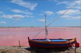 SEL FIN DE MEDITERRANEE - SALIN DE GRUISSAN – Image 3