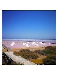 SEL FIN DE MEDITERRANEE - SALIN DE GRUISSAN – Image 4