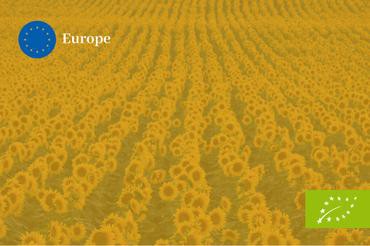 HUILE DE TOURNESOL VIERGE FRANCAISE BIOLOGIQUE - LE TEMPS DES OLIVIERS