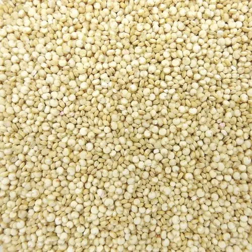 GRAINES DE QUINOA BLANC BIOLOGIQUES (BOLIVIE/PEROU)