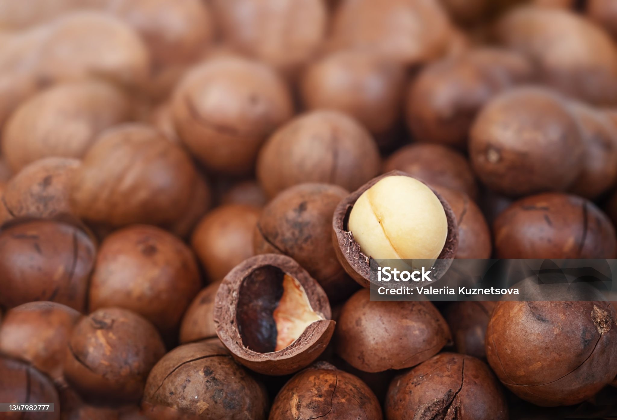 NOIX DE MACADAMIA AB & COMMERCE EQUITABLE - BASE ORGANIC FOOD – Image 2