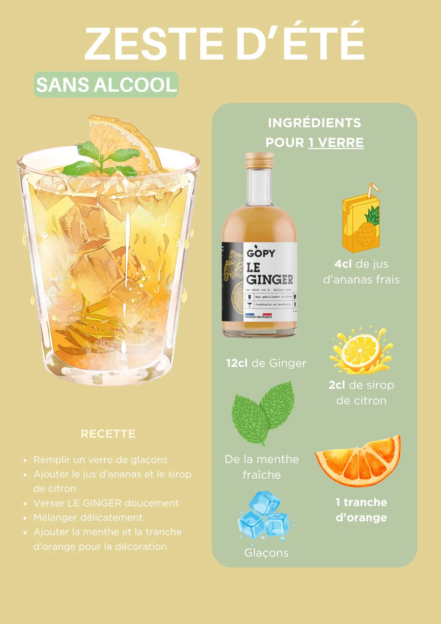 LE GINGER AB 500ML - BOOST GINGEMBRE - GOPY – Image 3