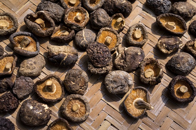SHIITAKES SECHES BIO 30G - SUPERSEC – Image 4