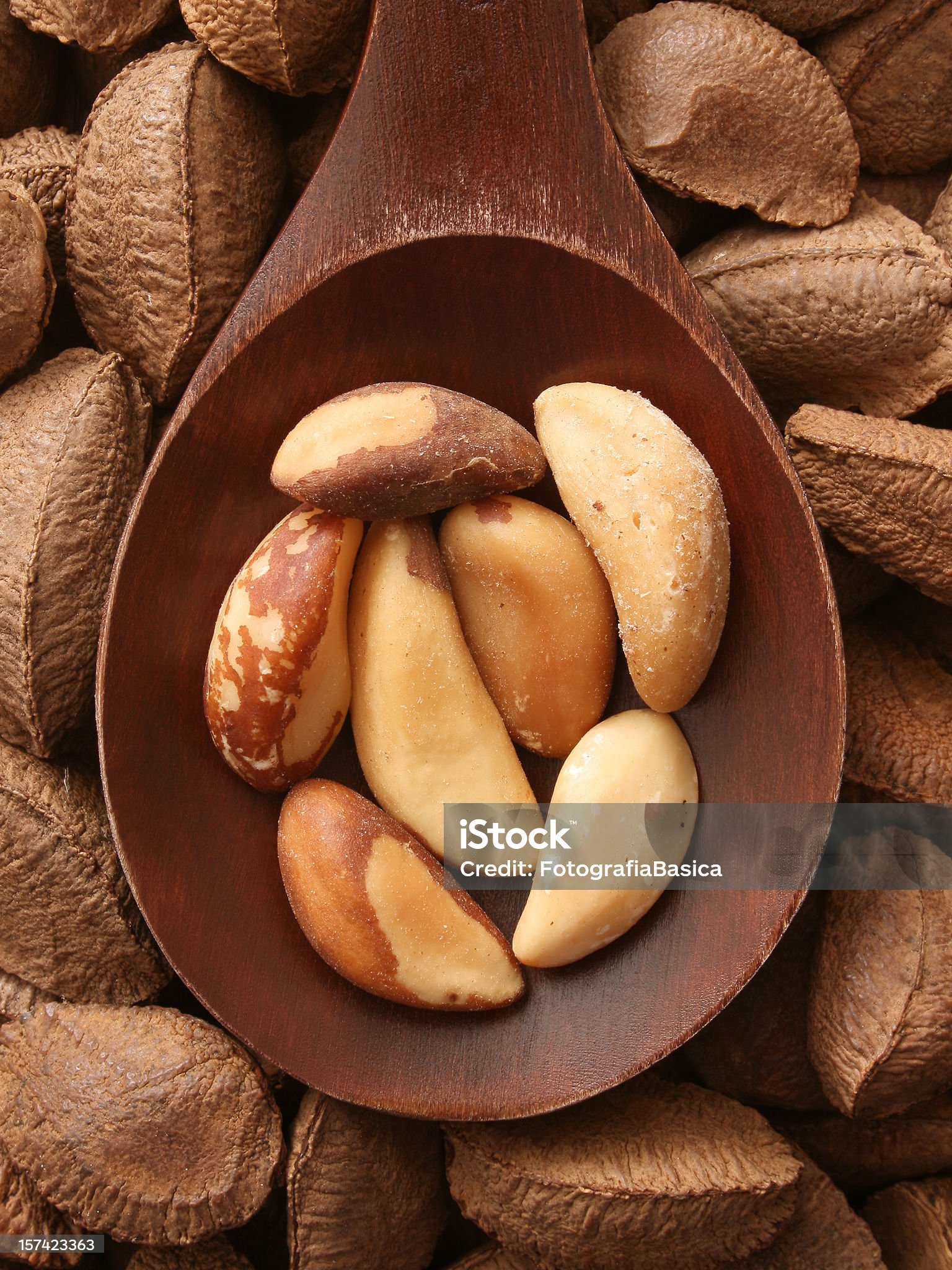 PEPITES NOIX DU BRESIL AU CURRY BIO – Image 2