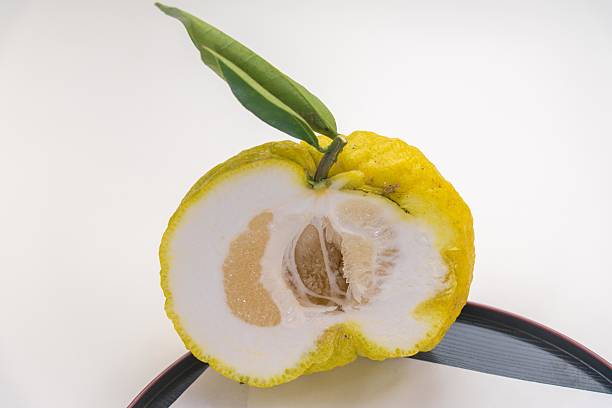 PUREE DE YUZU BIO 85g - LE VOYAGE DE MAMABE – Image 2
