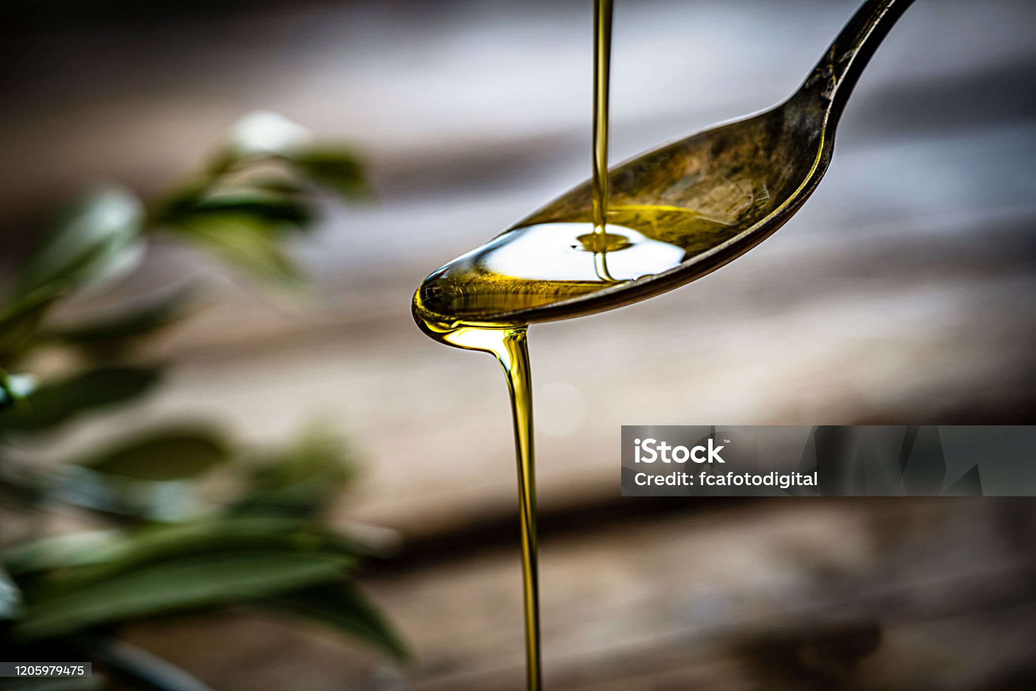 HUILE D'OLIVE VIERGE EXTRA BIO PORTUGAL - LE TEMPS DES OLIVIERS – Image 2