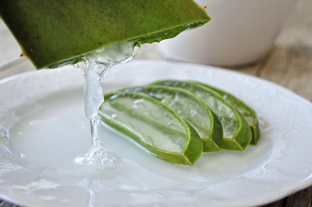 SHAMPOING DOUCHE ALOE VERA BIO & VEGAN - COSLYS – Image 2