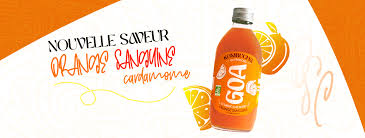 KOMBUCHA ORANGE SANGUINE CARDAMOME BIO 1L - BRASSERIE DE GOA – Image 2