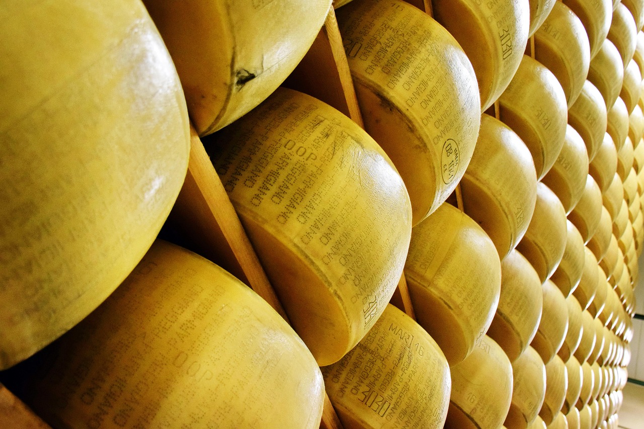 PARMESAN PARMIGIANO REGGIANO AOP RAPE 12 MOIS AU LAIT CRU BIO 60G - PHILIA – Image 4