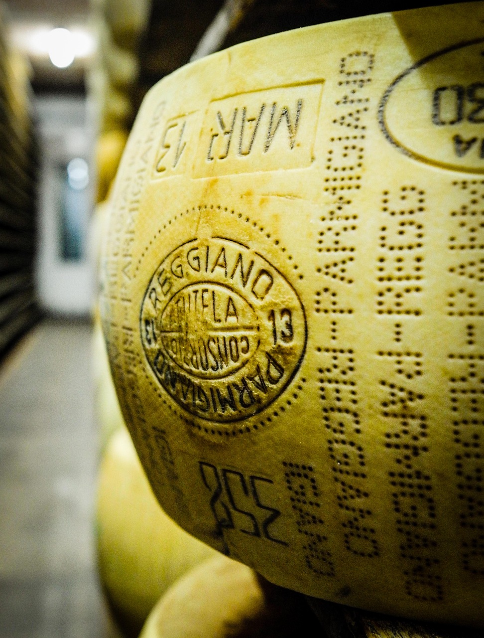PARMESAN PARMIGIANO REGGIANO AOP RAPE 12 MOIS AU LAIT CRU BIO 60G - PHILIA – Image 5