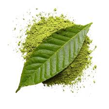 THE FROID BIO RAFRAICHISSANT MATCHA & MENTHE 330ml - MEME – Image 5