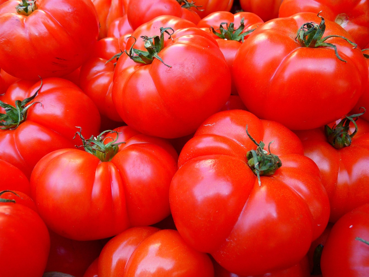 PUR JUS DE TOMATES FRANCE BIO 75CL - NATUR'AVENIR – Image 2