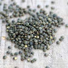 LENTILLES VERTES ANICIA BIOLOGIQUES (ou LENTILLES VERTES DU PUY)