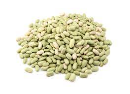 FLAGEOLETS VERTS BIOLOGIQUES SUD-OUEST