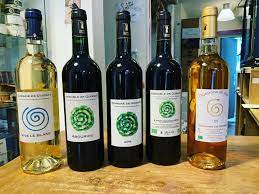 NOUVELLE ENVIE 2018 AB & SANS SULFITES 75CL IGP AGENAIS - DOMAINE DE QUISSAT – Image 2