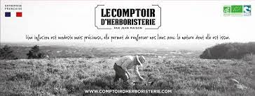 PREPARATION POUR PAIN D'EPICES BIO - LE COMPTOIR DE L'HERBORISTERIE – Image 3