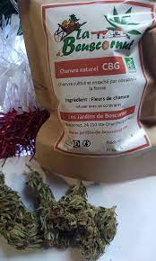 TISANE CBG BIO 40G LA BEUSCORNUT - LES JARDINS DE BOSCORNUT