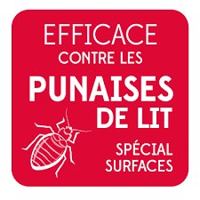INSECTISIDE FOUDROYANT 400ML - ETAMINE DU LYS – Image 2