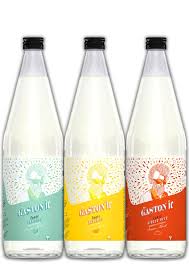 TONIC Mr GASTON'IC ORIGINAL BIO 20CL - TESSENDIER & FILS – Image 2