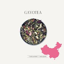 THE VERT PERLES MENTHE FRUITEE BIO & ECORESPONSABLE - GAYOTEA – Image 3