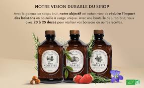 SIROP CARAMEL SALE BRUT BIO 400ML - BACANHA – Image 5