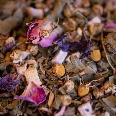 TISANE TRANSIT BIO - LE COMPTOIR DE L'HERBORISTERIE