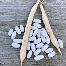HARICOTS BLANCS LINGOT SECS AB – Image 2